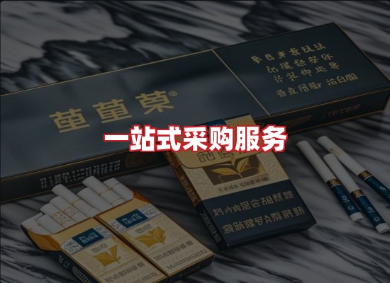 专业团队